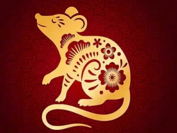 Vận mệnh tuổi Tý ngày 23/12 như thế nào?