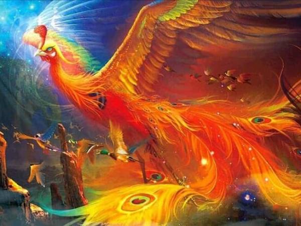 Phượng hoàng số mấy? Luận con số theo dân gian và giấc mơ